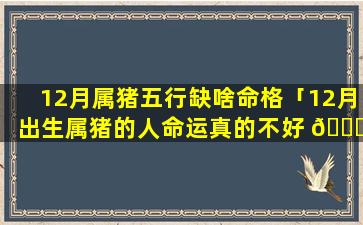 12月属猪五行缺啥命格「12月出生属猪的人命运真的不好 🐎 吗」